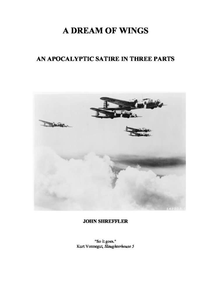 A Dream of Wings book cover