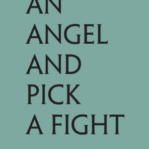 Find an Angel and Pick a Fight book cover