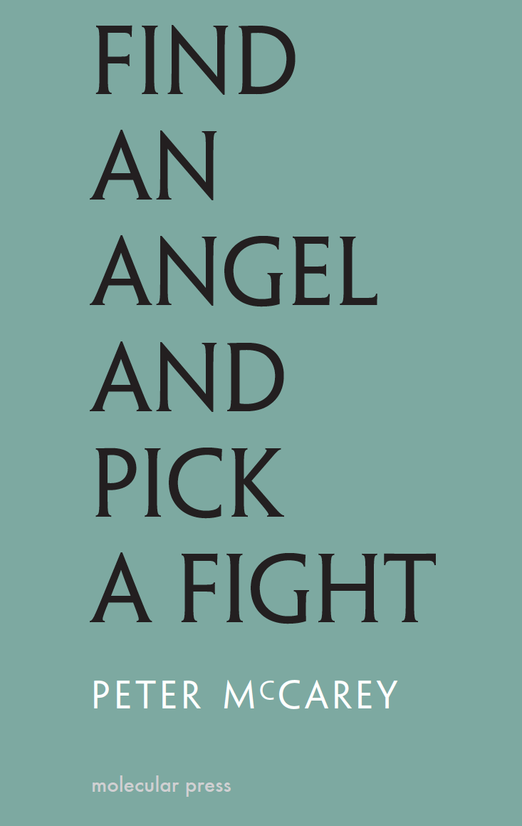 Find an Angel and Pick a Fight book cover